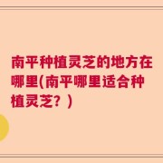 南平种植灵芝的地方在哪里(南平哪里适合种植灵芝？)