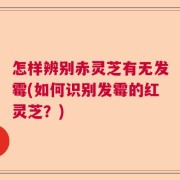 怎样辨别赤灵芝有无发霉(如何识别发霉的红灵芝？)