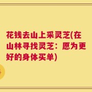 花钱去山上采灵芝(在山林寻找灵芝：愿为更好的身体买单)