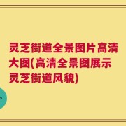 灵芝街道全景图片高清大图(高清全景图展示灵芝街道风貌)