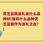 灵芝盆栽送礼送什么品种好(推荐什么品种灵芝盆栽作为送礼之选？)