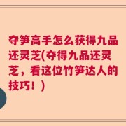 夺笋高手怎么获得九品还灵芝(夺得九品还灵芝，看这位竹笋达人的技巧！)