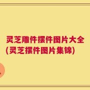 灵芝雕件摆件图片大全(灵芝摆件图片集锦)