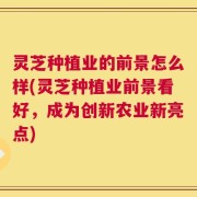 灵芝种植业的前景怎么样(灵芝种植业前景看好，成为创新农业新亮点)
