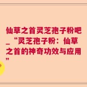 仙草之首灵芝孢子粉吧_“灵芝孢子粉：仙草之首的神奇功效与应用”