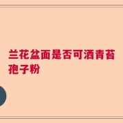 兰花盆面是否可洒青苔孢子粉
