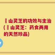 砳山灵芝的功效与主治(砳山灵芝：药食两用的天然珍品)