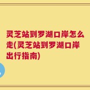 灵芝站到罗湖口岸怎么走(灵芝站到罗湖口岸出行指南)
