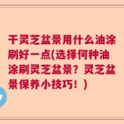 干灵芝盆景用什么油涂刷好一点(选择何种油涂刷灵芝盆景？灵芝盆景保养小技巧！)