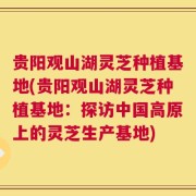 贵阳观山湖灵芝种植基地(贵阳观山湖灵芝种植基地：探访中国高原上的灵芝生产基地)