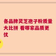 各品牌灵芝孢子粉质量大比拼 看哪家品质更优