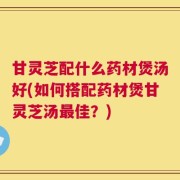 甘灵芝配什么药材煲汤好(如何搭配药材煲甘灵芝汤最佳？)