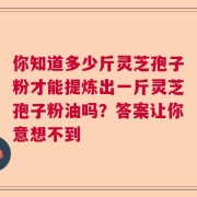 你知道多少斤灵芝孢子粉才能提炼出一斤灵芝孢子粉油吗？答案让你意想不到