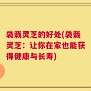 袋栽灵芝的好处(袋栽灵芝：让你在家也能获得健康与长寿)