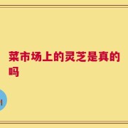 菜市场上的灵芝是真的吗