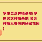 罗庄灵芝种植基地(罗庄灵芝种植基地 灵芝种植大省份的秘密花园)