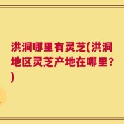 洪洞哪里有灵芝(洪洞地区灵芝产地在哪里？)