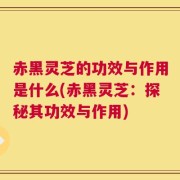 赤黑灵芝的功效与作用是什么(赤黑灵芝：探秘其功效与作用)