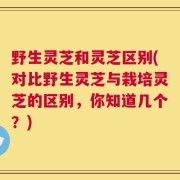野生灵芝和灵芝区别(对比野生灵芝与栽培灵芝的区别，你知道几个？)