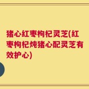 猪心红枣枸杞灵芝(红枣枸杞炖猪心配灵芝有效护心)