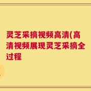 灵芝采摘视频高清(高清视频展现灵芝采摘全过程