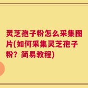灵芝孢子粉怎么采集图片(如何采集灵芝孢子粉？简易教程)