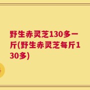 野生赤灵芝130多一斤(野生赤灵芝每斤130多)