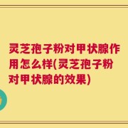 灵芝孢子粉对甲状腺作用怎么样(灵芝孢子粉对甲状腺的效果)