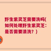 野生紫灵芝需要洗吗(如何处理野生紫灵芝：是否需要清洗？)