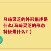 马蹄灵芝的外形描述是什么(马蹄灵芝的形态特征是什么？)