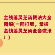 金线莲灵芝汤煲法大全图解(一网打尽，掌握金线莲灵芝汤全套做法！)