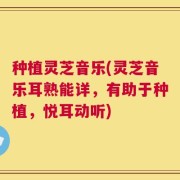 种植灵芝音乐(灵芝音乐耳熟能详，有助于种植，悦耳动听)
