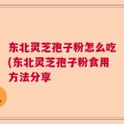 东北灵芝孢子粉怎么吃(东北灵芝孢子粉食用方法分享