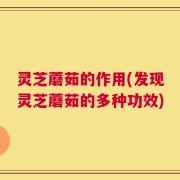 灵芝蘑茹的作用(发现灵芝蘑茹的多种功效)