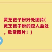 灵芝孢子粉好处图片(灵芝孢子粉的惊人益处，欣赏图片！)