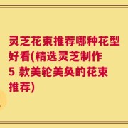 灵芝花束推荐哪种花型好看(精选灵芝制作 5 款美轮美奂的花束推荐)