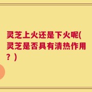 灵芝上火还是下火呢(灵芝是否具有清热作用？)