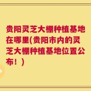 贵阳灵芝大棚种植基地在哪里(贵阳市内的灵芝大棚种植基地位置公布！)