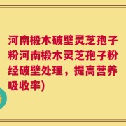 河南椴木破壁灵芝孢子粉河南椴木灵芝孢子粉经破壁处理，提高营养吸收率)