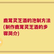 鹿茸灵芝酒的泡制方法(制作鹿茸灵芝酒的步骤简介)