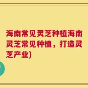 海南常见灵芝种植海南灵芝常见种植，打造灵芝产业)