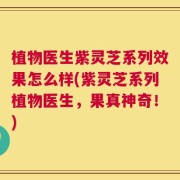 植物医生紫灵芝系列效果怎么样(紫灵芝系列植物医生，果真神奇！)