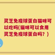 灵芝免疫球蛋白猫咪可以吃吗(猫咪可以食用灵芝免疫球蛋白吗？)