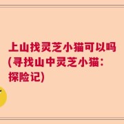 上山找灵芝小猫可以吗(寻找山中灵芝小猫：探险记)