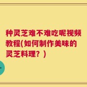 种灵芝难不难吃呢视频教程(如何制作美味的灵芝料理？)