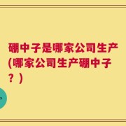 硼中子是哪家公司生产(哪家公司生产硼中子？)
