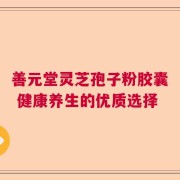 善元堂灵芝孢子粉胶囊 健康养生的优质选择