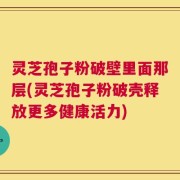 灵芝孢子粉破壁里面那层(灵芝孢子粉破壳释放更多健康活力)