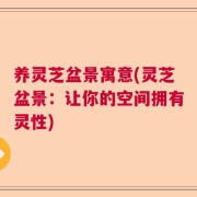 养灵芝盆景寓意(灵芝盆景：让你的空间拥有灵性)