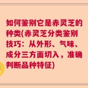 如何鉴别它是赤灵芝的种类(赤灵芝分类鉴别技巧：从外形、气味、成分三方面切入，准确判断品种特征)